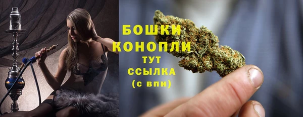дмт Белокуриха