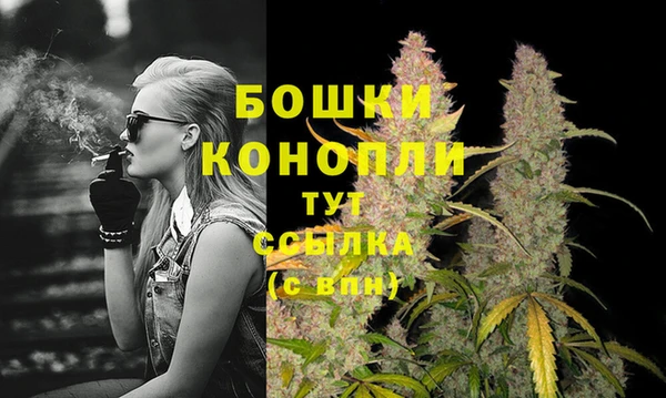 дмт Белокуриха