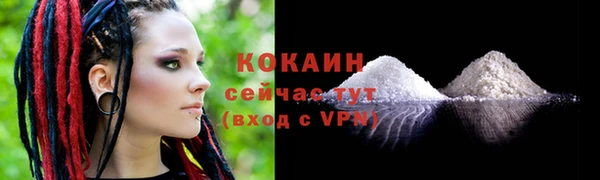 дмт Белокуриха