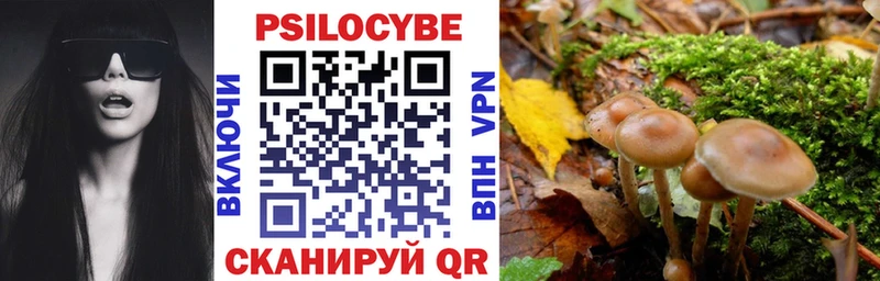 KRAKEN ссылка  Рязань  Галлюциногенные грибы Psilocybine cubensis 